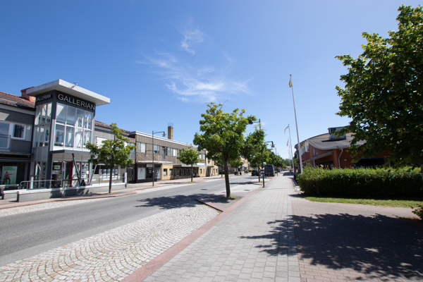 Bild
