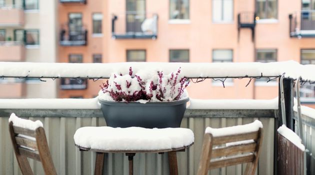 Balkong med bord, stolar och blommande växter med bostadshus i bakgrunden.