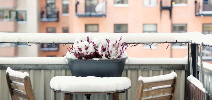 Balkong med bord, stolar och blommande växter med bostadshus i bakgrunden.